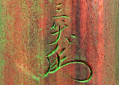 Wada Kokeisai Sansho, further thoughts and discoveries